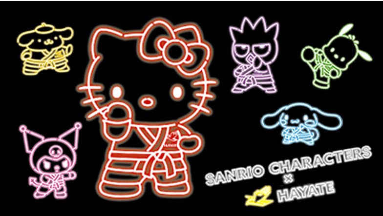 SANRIO CHARACTERS × HAYATE